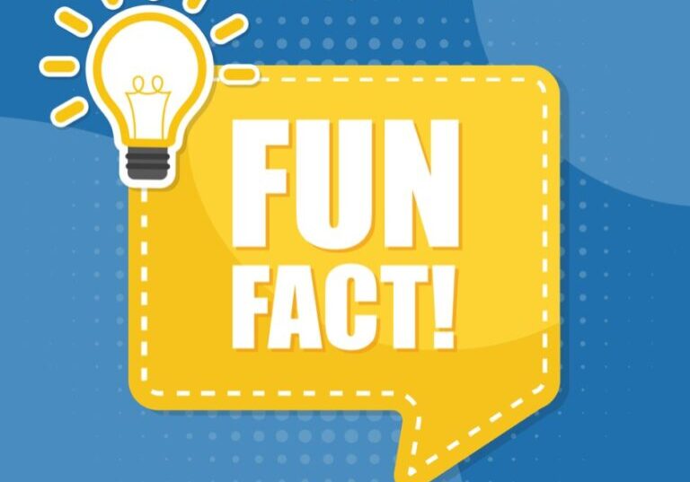 Fun facts icon